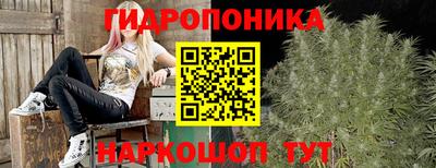 скорость Будённовск
