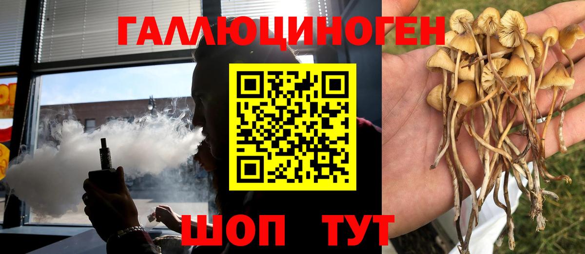 Псилоцибиновые грибы прущие грибы  Вход с VPN  наркотики  Северодвинск  Псилоцибиновые грибы прущие грибы 